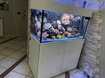 Acquario marino completo