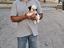 Immagine 3