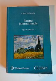 Diritto internazionale (tomi I & II), C.Focarelli