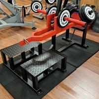 belt squat 