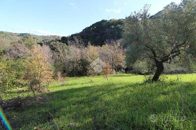 TER. AGRICOLO A OGLIASTRO CILENTO