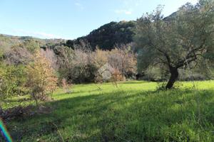 TER. AGRICOLO A OGLIASTRO CILENTO