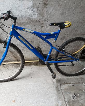 Bici mbk per bambino 