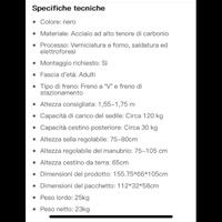 Bici a tre ruote (treciclo)