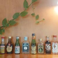 Collezione Bottigliette Liquore Migno