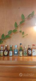 Collezione Bottigliette Liquore Migno