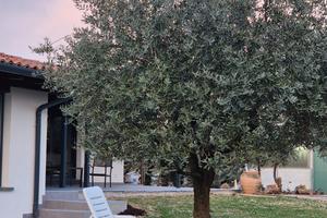 Worklodge FRANCIACORTA Rooms