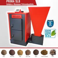 Caldaia Biomasse, Pellet, Sansa, Nocciolino, Legna