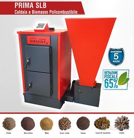 Caldaia Biomasse, Pellet, Sansa, Nocciolino, Legna