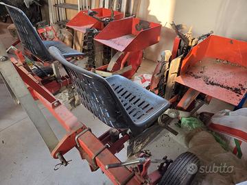 Trapiantatrice Checchi e Magli