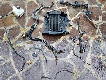 Malaguti password 250