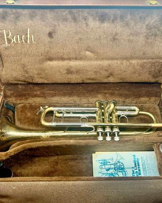 BACH TROMBA SIB ML 37 STRADIVARIUS