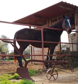 aratro antico funzionante