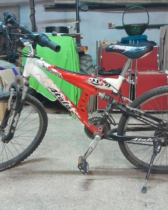Bicicletta per ragazzo