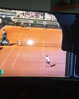 TV Samsung 49'' schermo curvo