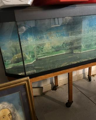 Acquario