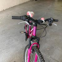 Bicicletta Olmo