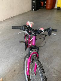 Bicicletta Olmo