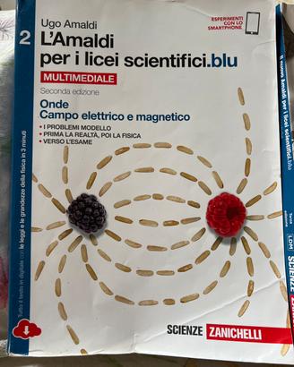 Libro “AMALDI PER I LICEI SCIENTIFICI” vol. 2