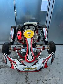 Mini kart