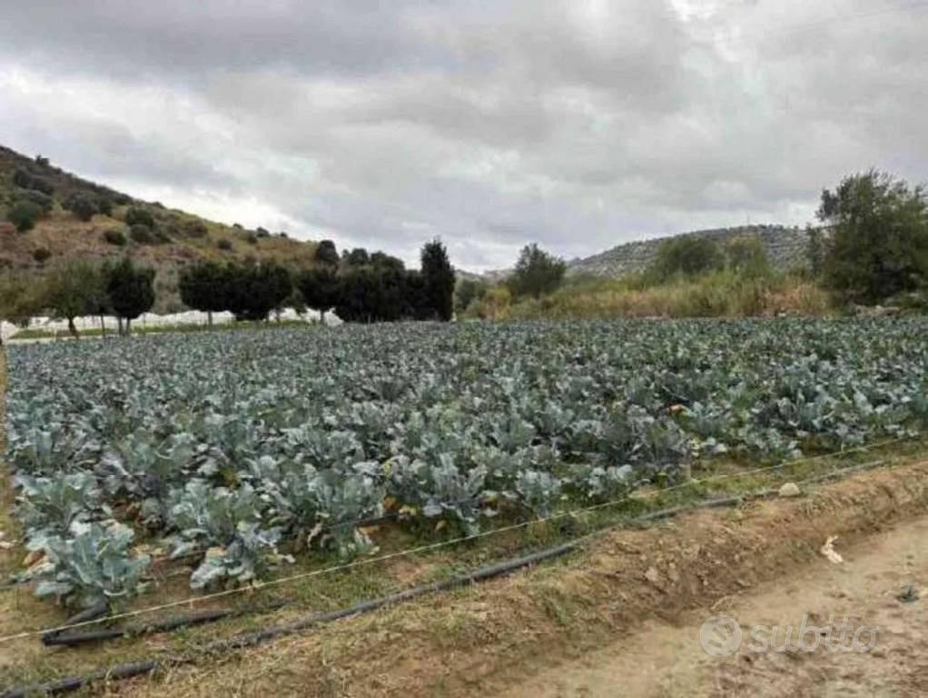 Immobile in asta di 120 m² a Petrizzi - Vista 4