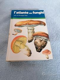 LIBRO PER RICONOSCERE FUNGHI