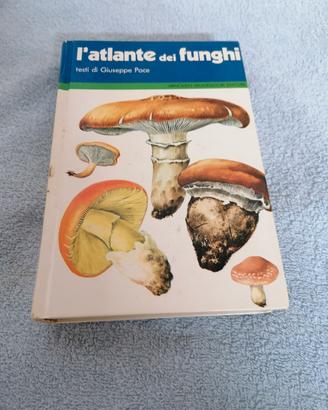 LIBRO PER RICONOSCERE FUNGHI