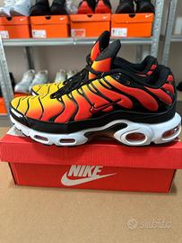 Nike air max plus 45