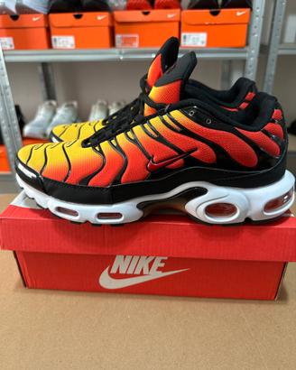 Nike air max plus 45