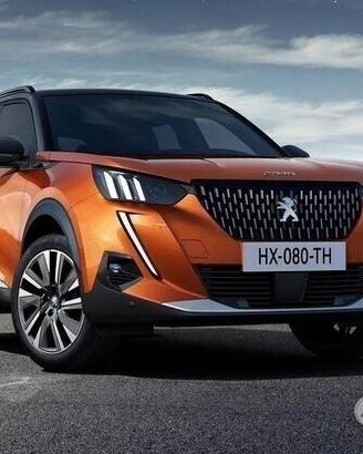 Ricambi usati peugeot 2008 2019-2024 208 2012-2019