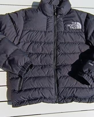 Piumino Northface Nuptse Junior