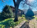 castagneto-soluzione-indipendente-con-giardino