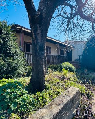 Castagneto : soluzione indipendente con giardino