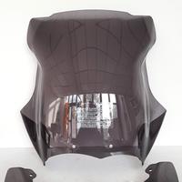 R 1200 GS R1200GS 2010 Standard cupolino e deflett