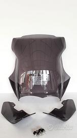 R 1200 GS R1200GS 2010 Standard cupolino e deflett