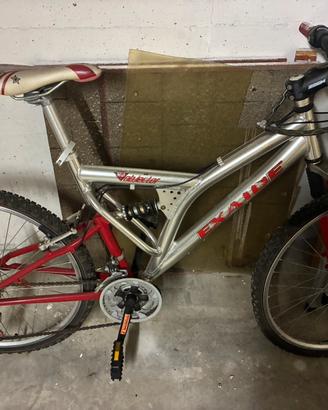 Mountain bike