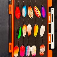 Spoon Trout Area + Box - Esche Trota 