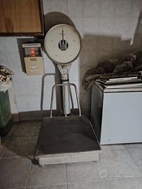 bilancia portata 300 kg
