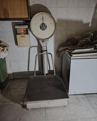 bilancia portata 300 kg