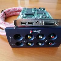 Scheda acquisizione video Pinnacle Systems Callist