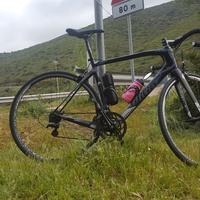 Wilier GTR carbonio