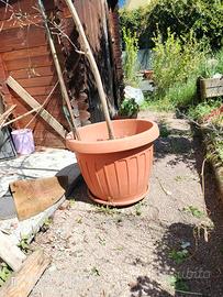 Vasi per orto o giardino