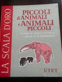 La nuova scala d’oro Utet