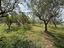 Immagine 22