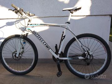 Bottecchia MTB
