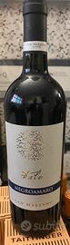 Negroamaro Falò San Marzano Salento 2014