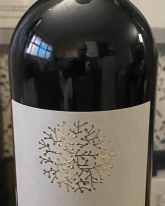 Negroamaro Falò San Marzano Salento 2014