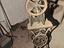 Immagine 5