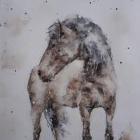 Quadro dipinto acquerello cavallo pony