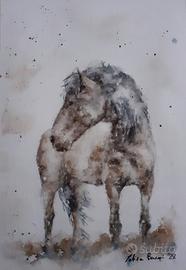 Quadro dipinto acquerello cavallo pony